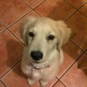 Meet your Posher, Aaron